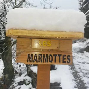 https://les-marmottes-les-etalons.hotels-rhonealpes.com